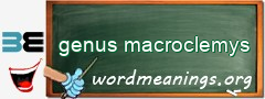 WordMeaning blackboard for genus macroclemys